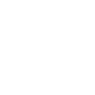 Voyager Artemis