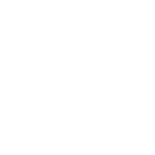 Voyager Polaris